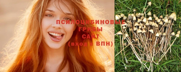 прущая мука Армянск